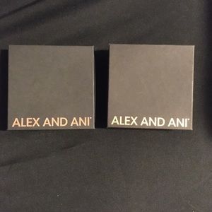 Alex and Ani Shopping Gift Bag, Two Boxes, Tissue Paper